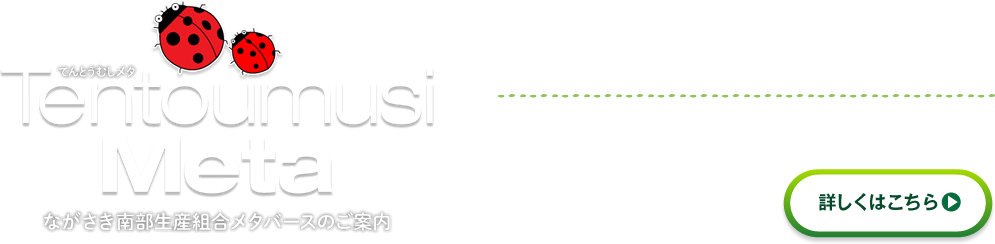 メタバースのご案内