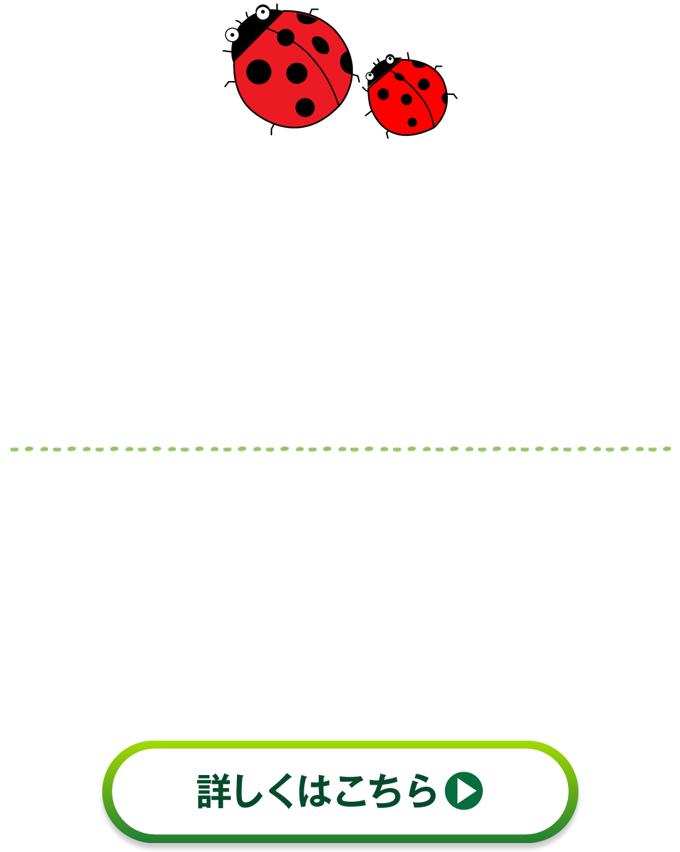 メタバースのご案内