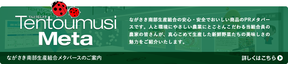 メタバースのご案内